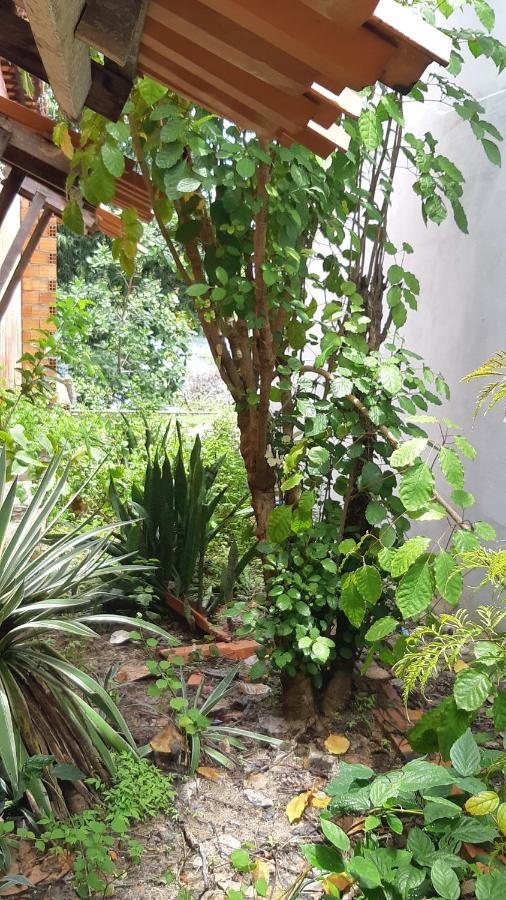 Natural Hostel Atins Luaran gambar