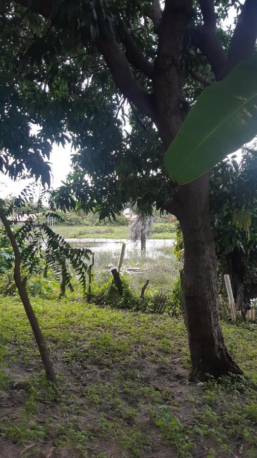 Natural Hostel Atins Luaran gambar