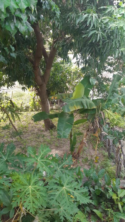 Natural Hostel Atins Luaran gambar